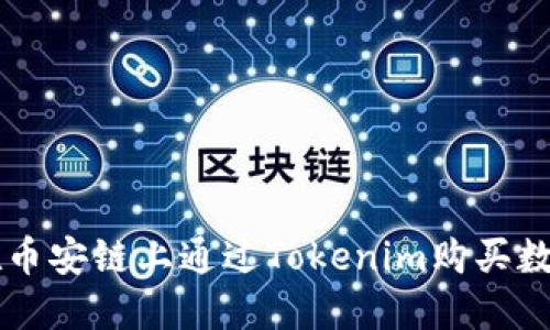 如何在币安链上通过Tokenim购买数字货币