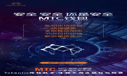 Tokenim跨链技术：连接不同区块链的桥梁