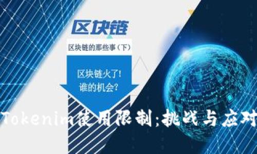 解密Tokenim使用限制：挑战与应对策略