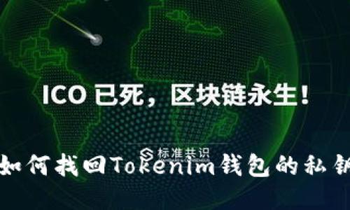 如何找回Tokenim钱包的私钥